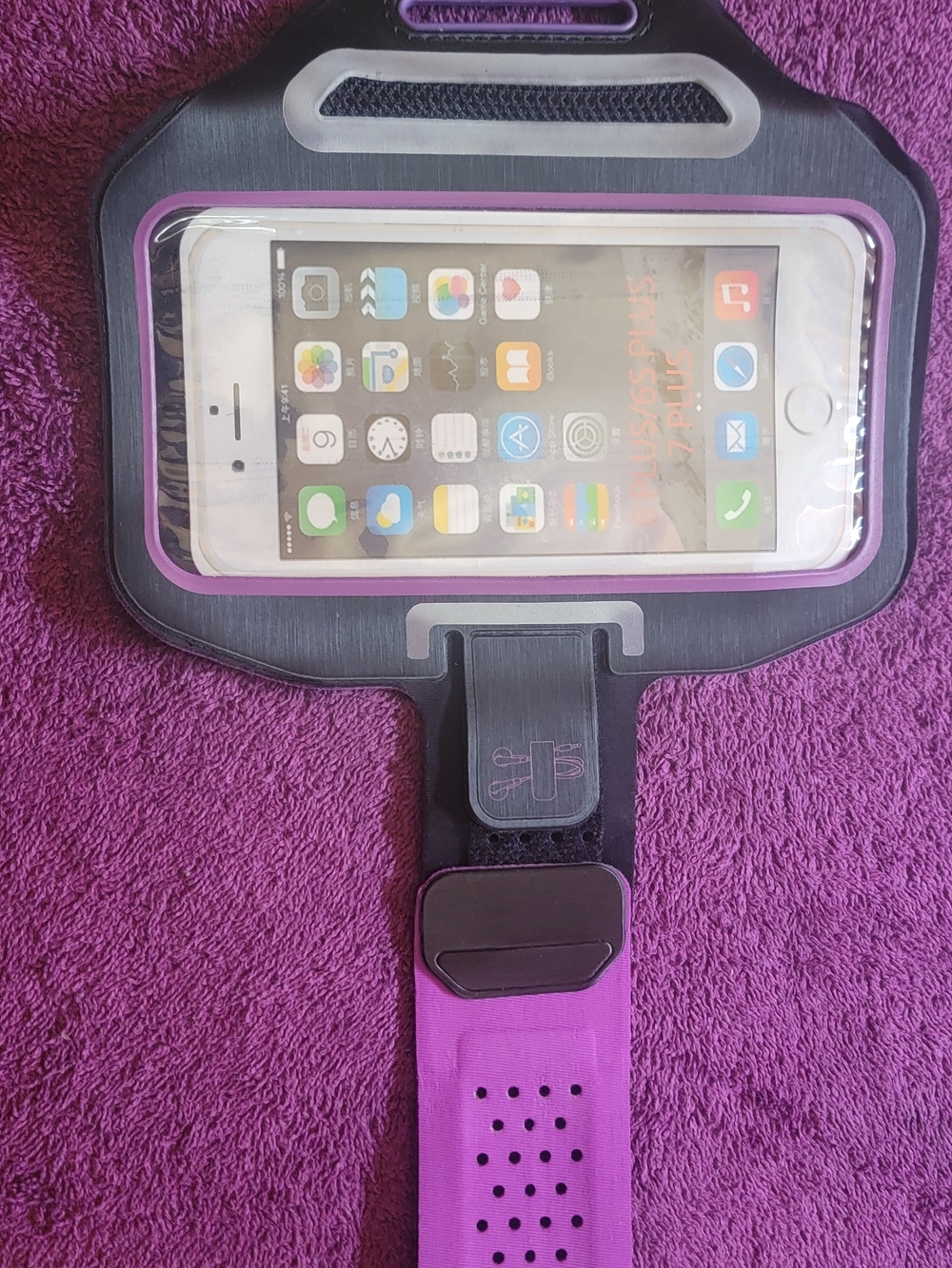 Purple Sports Armband Phone Holder — Universal Fit